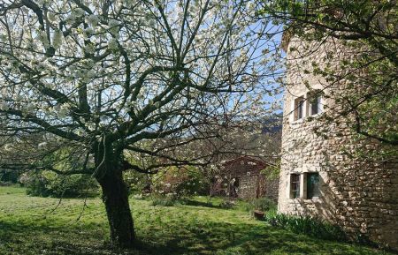 La tour médiévale depuis le jardin Gite n°G186800 Miscon - Drôme - La tour médiévale depuis le jardin