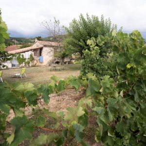 Location n°G346001 à SUZE (26)