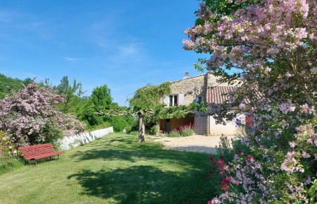 Gite n&deg;G81475 Ch&acirc;teaudouble - Dr&ocirc;me - les Kolkwitzia en fleurs